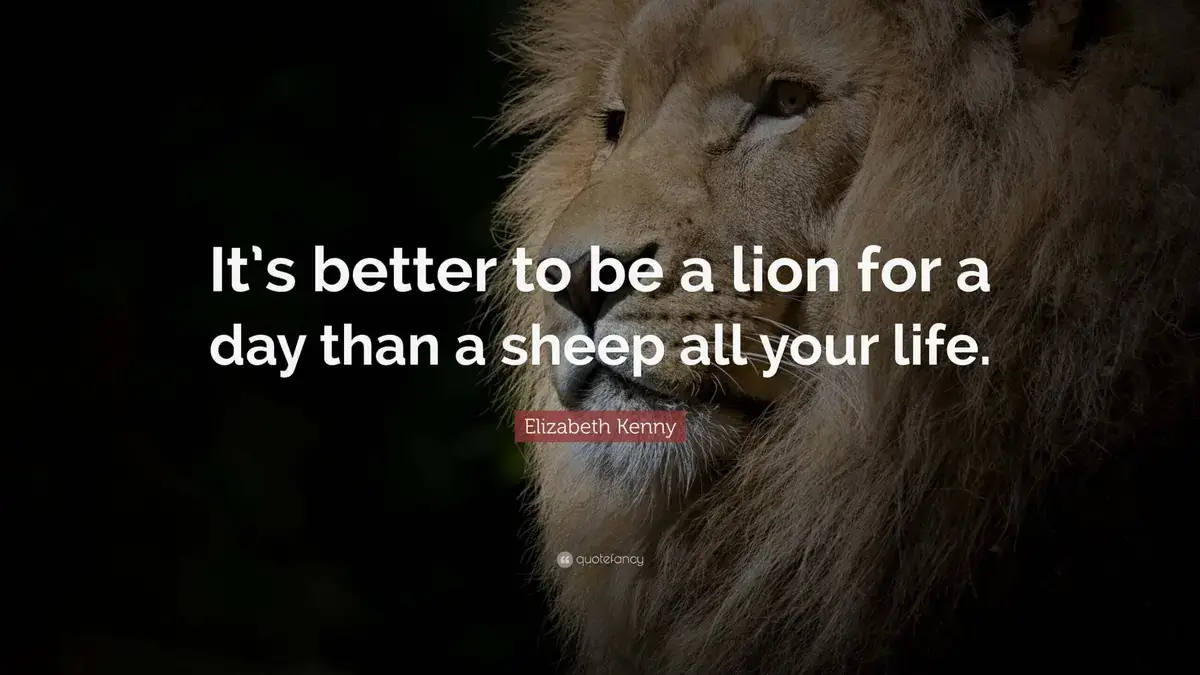 Quotefancy digital signage from Reach Media Network displaying an inspirational quote and lion imagery.